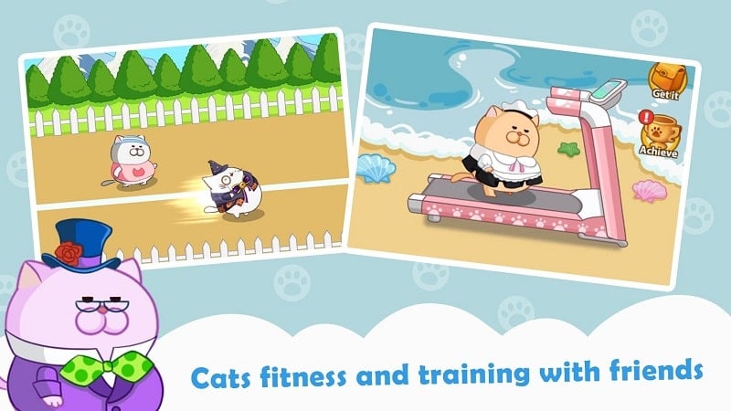 Cat Run – Kitty Rush