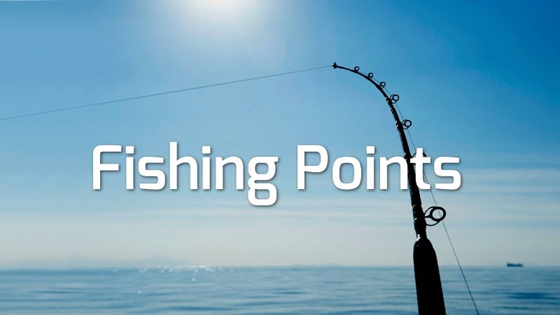 Fishing Points v4.3.6 MOD APK (Premium unlocked)