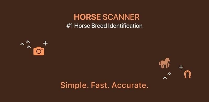 Horse Scanner