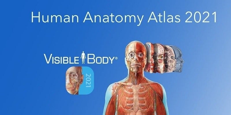 Human Anatomy Atlas 2021 v2025.00.012 MOD APK (Premium unlocked)