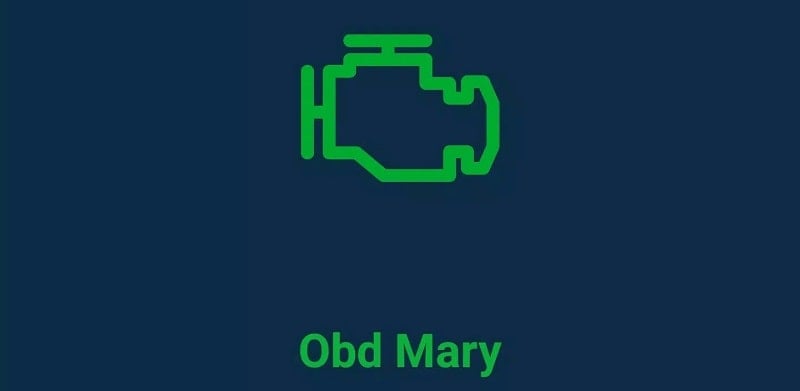 Obd Mary v1.250 MOD APK (Unlocked all)