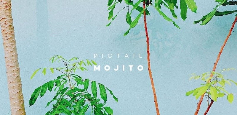 PICTAIL – Mojito v1.5.6.0 MOD APK (N/A)