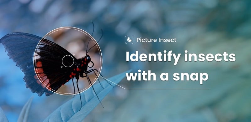 Picture Insect: Bug Identifier v2.8.31 MOD APK (Unlocked Premium)