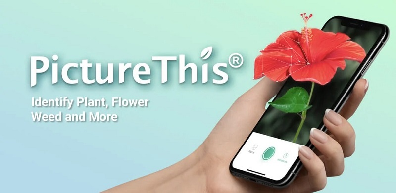 PictureThis v4.4.2 MOD APK (Unlocked)