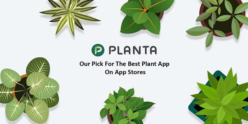 Planta v2.18.5 MOD APK (Premium Unlocked)