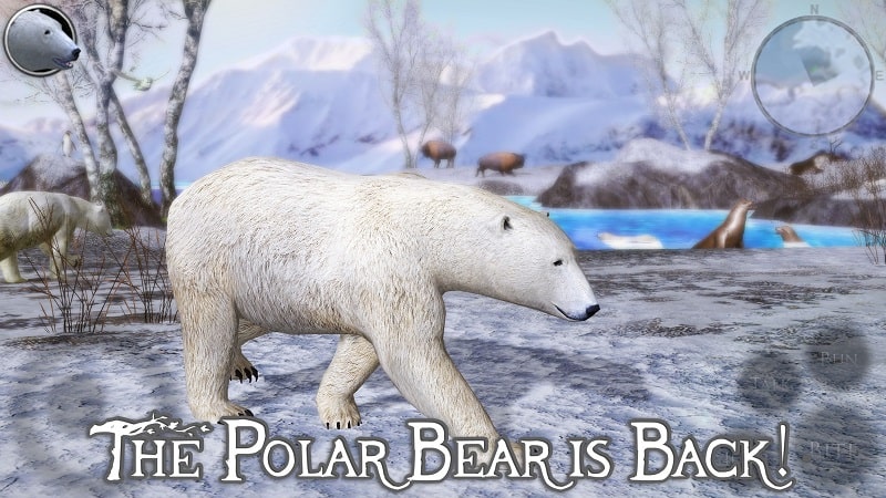 Polar Bear Simulator 2 v3.0 MOD APK (Unlimited Skill points)