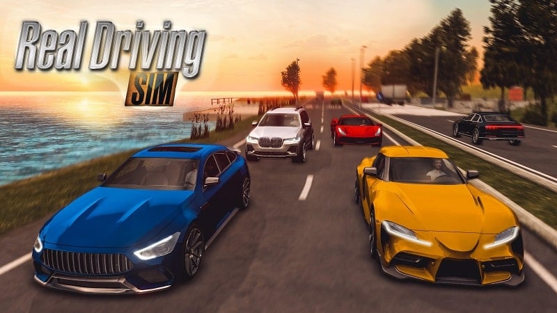 Real Driving Sim v6.0 MOD APK (Unlimited money)