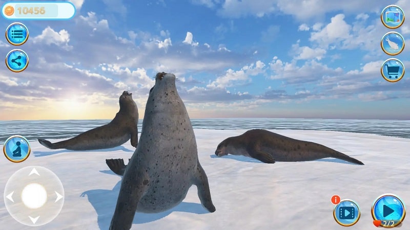 Seal Island v1.4.3 MOD APK (Free Purchase)