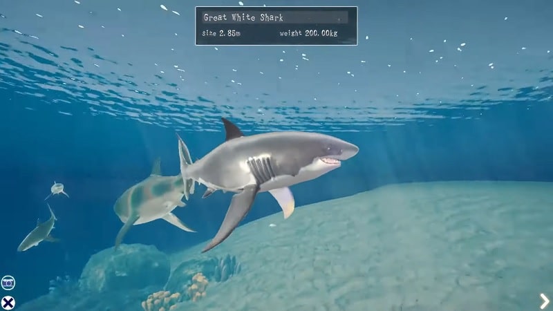 Shark Ocean v1.2.2 MOD APK (Free Upgrade)