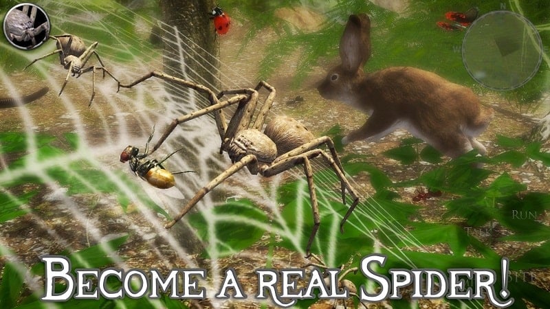 Ultimate Spider Simulator 2 v3.0 MOD APK (Unlimited Skill points)