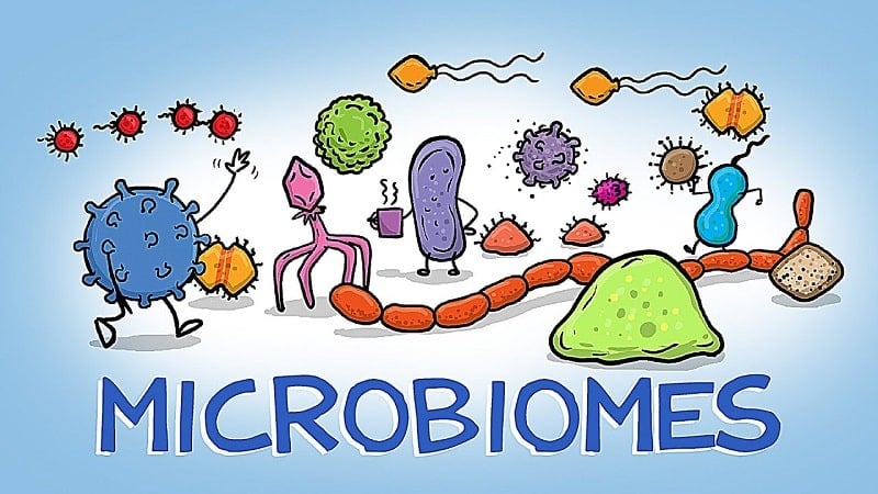 World of Microbes v0.2.103 MOD APK (Unlimited money/Unlocked)